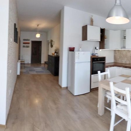 Apartament Apartament De Lux Cu Terasa Timișoara Zewnętrze zdjęcie
