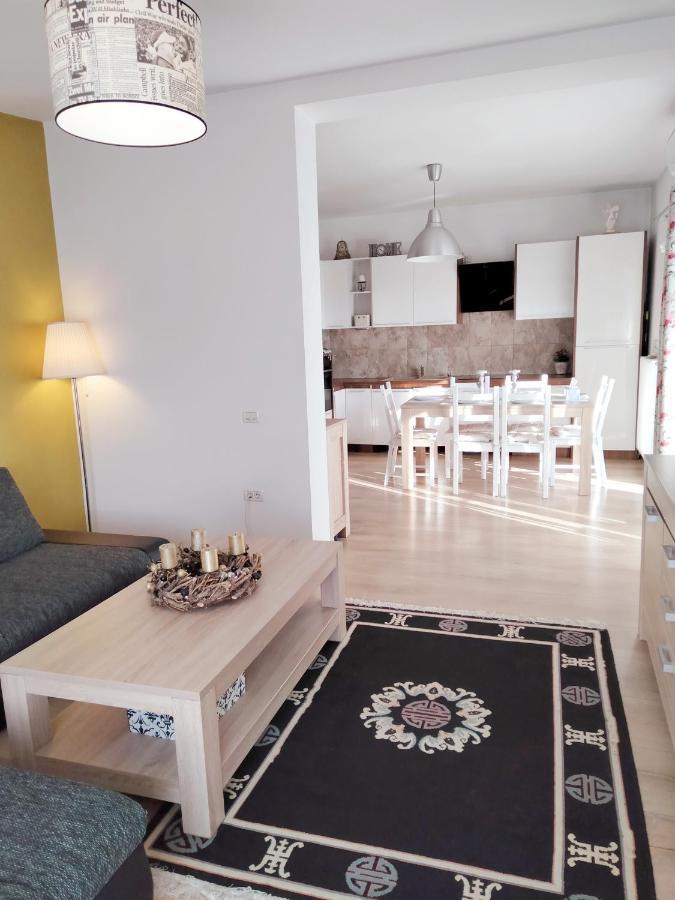 Apartament Apartament De Lux Cu Terasa Timișoara Zewnętrze zdjęcie