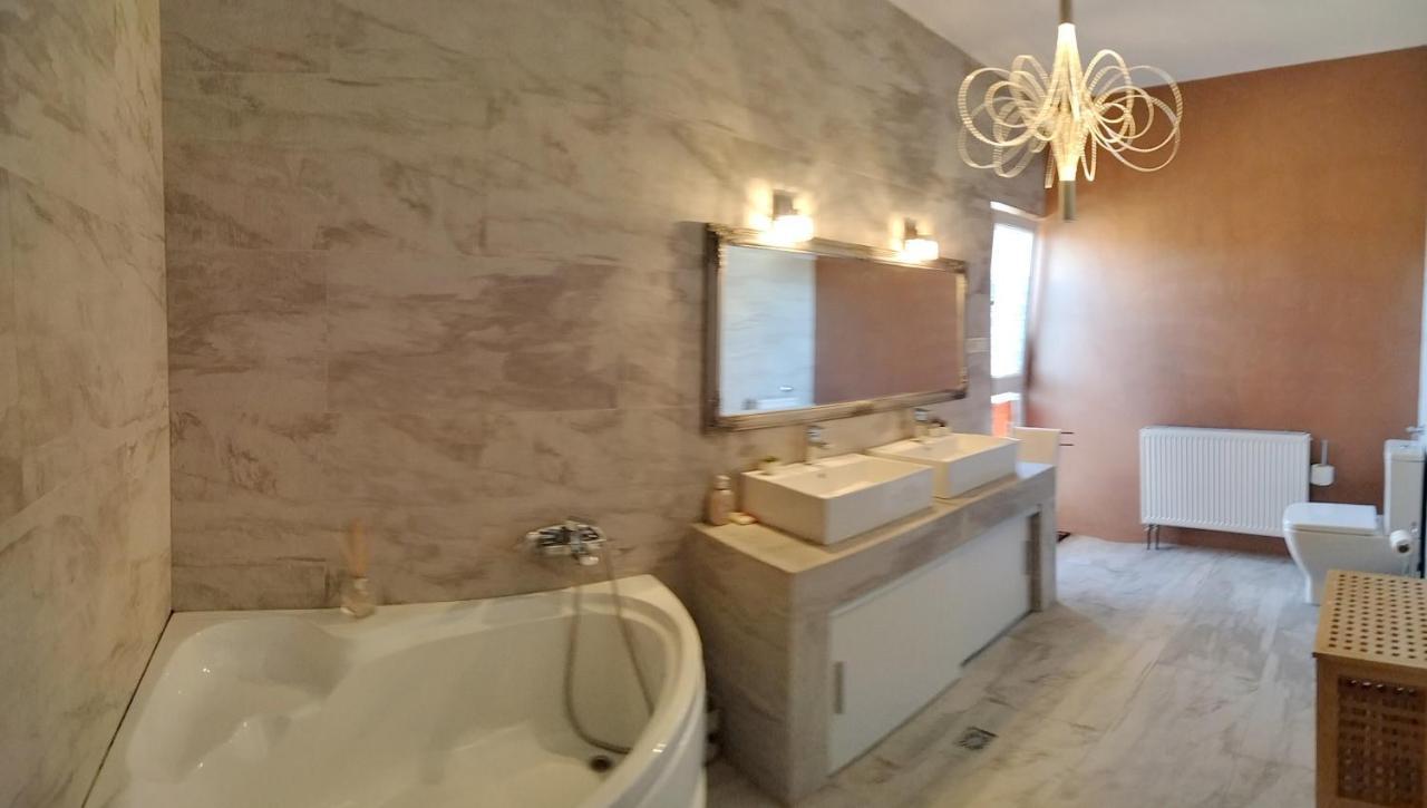 Apartament Apartament De Lux Cu Terasa Timișoara Zewnętrze zdjęcie
