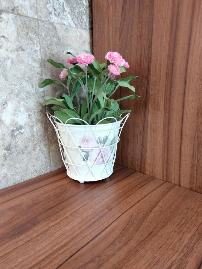 Apartament Apartament De Lux Cu Terasa Timișoara Zewnętrze zdjęcie
